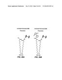 NOVEL CHEMISTRY USED IN BIOSENSORS diagram and image