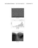 POROUS MATERIALS AND METHODS INCLUDING NANOPOROUS MATERIALS FOR WATER     FILTRATION diagram and image