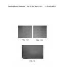 WATER-TREATMENT SEPARATING MEMBRANE OF HIGH FLUX HAVING GOOD CHLORINE     RESISTANCE diagram and image