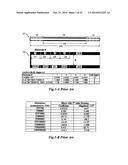 Electrostatic Ion Mirrors diagram and image