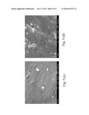 CARBON DIOXIDE ADSORBENT, THE MANUFACTURING METHOD THEREOF, AND THE USE     METHOD THEREOF diagram and image