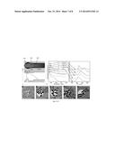 COLLODIAL SEMICONDUCTING STRUCTURE diagram and image