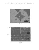 Vapor-Trapping Growth of Single-Crystalline Graphene Flowers diagram and image