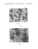 Vapor-Trapping Growth of Single-Crystalline Graphene Flowers diagram and image