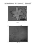 Vapor-Trapping Growth of Single-Crystalline Graphene Flowers diagram and image