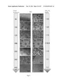 Vapor-Trapping Growth of Single-Crystalline Graphene Flowers diagram and image