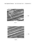 Vapor-Trapping Growth of Single-Crystalline Graphene Flowers diagram and image