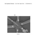 Vapor-Trapping Growth of Single-Crystalline Graphene Flowers diagram and image