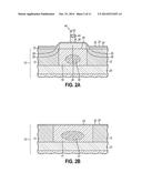 SCHOTTKY BARRIER DIODES WITH A GUARD RING FORMED BY SELECTIVE EPITAXY diagram and image