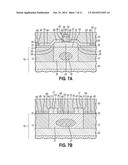 SCHOTTKY BARRIER DIODES WITH A GUARD RING FORMED BY SELECTIVE EPITAXY diagram and image