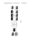 METHOD AND APPARATUS FOR CODED FOCAL STACK PHOTOGRAPHING diagram and image