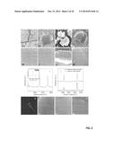 GRAPHENE-CARBON NANOTUBE HYBRID MATERIALS AND USE AS ELECTRODES diagram and image