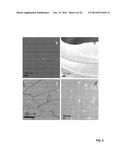 GRAPHENE-CARBON NANOTUBE HYBRID MATERIALS AND USE AS ELECTRODES diagram and image