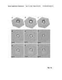 GRAPHENE-CARBON NANOTUBE HYBRID MATERIALS AND USE AS ELECTRODES diagram and image