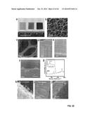 GRAPHENE-CARBON NANOTUBE HYBRID MATERIALS AND USE AS ELECTRODES diagram and image