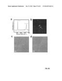 GRAPHENE-CARBON NANOTUBE HYBRID MATERIALS AND USE AS ELECTRODES diagram and image