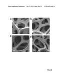 GRAPHENE-CARBON NANOTUBE HYBRID MATERIALS AND USE AS ELECTRODES diagram and image