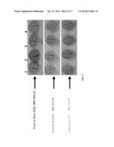 PEPTIDE-MEDIATED DELIVERY OF ACTIVE AGENTS ACROSS THE BLOOD-BRAIN BARRIER diagram and image