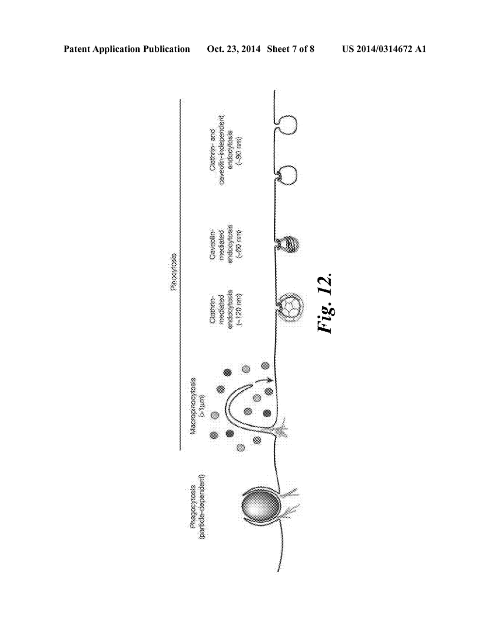 NANOPARTICLE THERAPEUTIC AGENTS, THEIR FORMULATIONS, AND METHODS OF THEIR     USE - diagram, schematic, and image 08