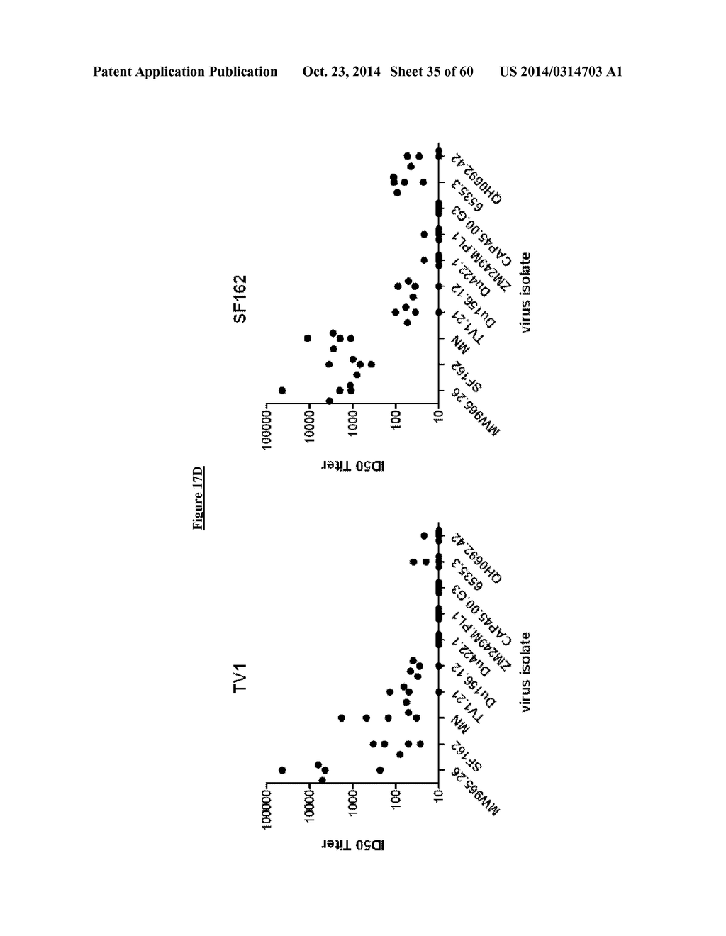 IMMUNOGENIC COMPLEXES OF POLYANIONIC CARBOMERS AND ENV POLYPEPTIDES AND     METHODS OF MANUFACTURE AND USE THEREOF - diagram, schematic, and image 36