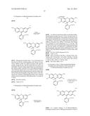 HALOGENATED RHODAMINE DERIVATIVES AND APPLICATIONS THEREOF diagram and image