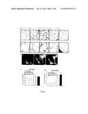 METHOD FOR PREPARING MESENCHYMAL STEM CELL-LIKE CELLS AND     CARDIOMYOCYTE-LIKE CELLS diagram and image