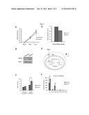 2-HYDROXYGLUTARATE AS A BIOMARKER FOR CHRONIC HYPOXIA diagram and image