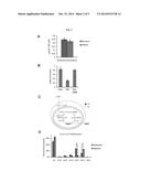 2-HYDROXYGLUTARATE AS A BIOMARKER FOR CHRONIC HYPOXIA diagram and image