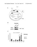 2-HYDROXYGLUTARATE AS A BIOMARKER FOR CHRONIC HYPOXIA diagram and image