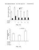 COMPOSITIONS AND METHODS FOR THE PREVENTION OR TREATMENT OF DIABETIC     COMPLICATIONS diagram and image