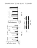 COMPOSITIONS AND METHODS FOR THE PREVENTION OR TREATMENT OF DIABETIC     COMPLICATIONS diagram and image