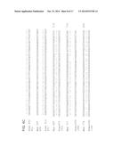 COMPOSITIONS AND METHODS FOR THE PREVENTION OR TREATMENT OF DIABETIC     COMPLICATIONS diagram and image