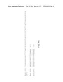 COMPOSITIONS AND METHODS FOR THE PREVENTION OR TREATMENT OF DIABETIC     COMPLICATIONS diagram and image
