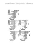 MCAM ANTAGONISTS AND METHODS OF TREATMENT diagram and image