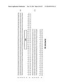 MCAM ANTAGONISTS AND METHODS OF TREATMENT diagram and image