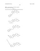 METHODS FOR TREATING CANCER USING TOR KINASE INHIBITOR COMBINATION THERAPY diagram and image