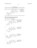 METHODS FOR TREATING CANCER USING TOR KINASE INHIBITOR COMBINATION THERAPY diagram and image