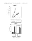 IMMUNOGENIC TUMOR ASSOCIATED STROMAL CELL ANTIGEN PEPTIDES AND METHODS OF     THEIR USE diagram and image