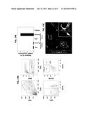 IMMUNOGENIC TUMOR ASSOCIATED STROMAL CELL ANTIGEN PEPTIDES AND METHODS OF     THEIR USE diagram and image