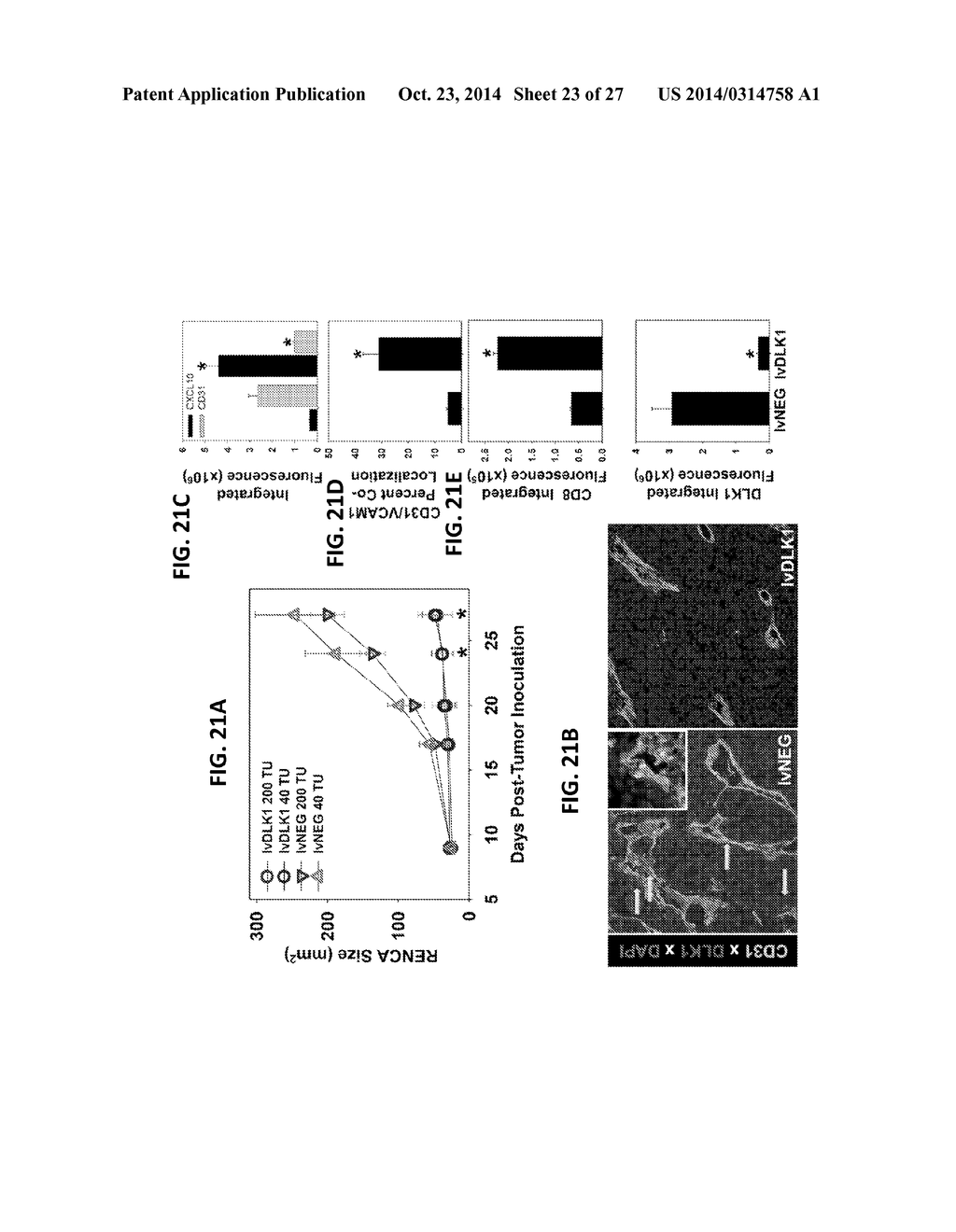 IMMUNOGENIC TUMOR ASSOCIATED STROMAL CELL ANTIGEN PEPTIDES AND METHODS OF     THEIR USE - diagram, schematic, and image 24