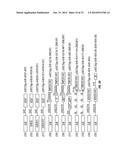 SERINE PROTEASE MOLECULES AND THERAPIES diagram and image