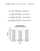 SERINE PROTEASE MOLECULES AND THERAPIES diagram and image