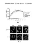 SERINE PROTEASE MOLECULES AND THERAPIES diagram and image