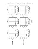 SERINE PROTEASE MOLECULES AND THERAPIES diagram and image