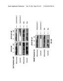 SERINE PROTEASE MOLECULES AND THERAPIES diagram and image