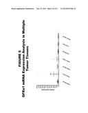 METHODS AND COMPOSITIONS FOR TREATING AND DIAGNOSING DISEASES diagram and image