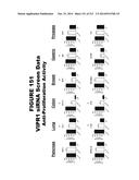 METHODS AND COMPOSITIONS FOR TREATING AND DIAGNOSING DISEASES diagram and image