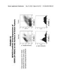 METHODS AND COMPOSITIONS FOR TREATING AND DIAGNOSING DISEASES diagram and image