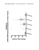 METHODS AND COMPOSITIONS FOR TREATING AND DIAGNOSING DISEASES diagram and image