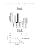 ANTI-CXCR4 ANTIBODIES AND METHODS OF USE diagram and image